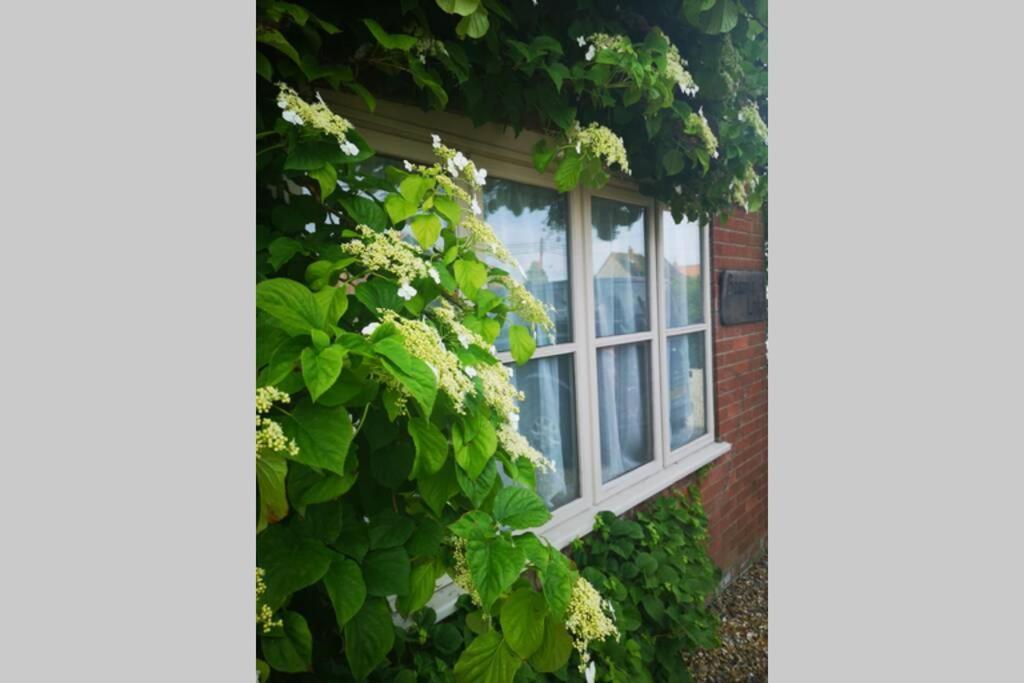 Blakeney Norfolk Bramble Lodge ***Self Catering*** المظهر الخارجي الصورة