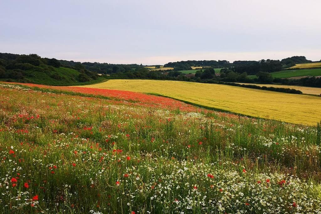 Blakeney Norfolk Bramble Lodge ***Self Catering*** المظهر الخارجي الصورة
